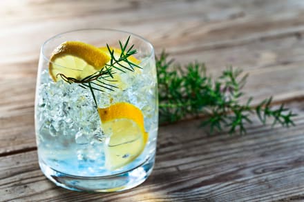 Gin Tasting At Your Accommodation — Stag Do activity in Edinburgh