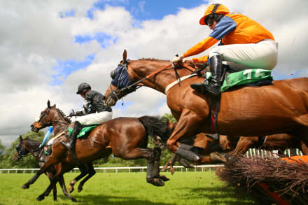 Horse Racing Tickets — Stag Do activity in Chester