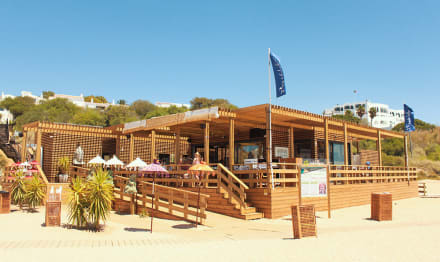 Beach Club Bed — Stag Do activity in Albufeira