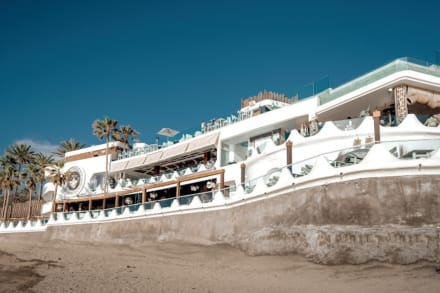 Monkey Beach Pool Party -  Bed Reservation — Stag Do activity in Tenerife