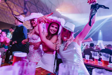 Bingo Lingo — Hen Do activity in Swansea