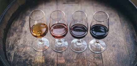Port Wine Tasting — Stag Do activity in Lisbon