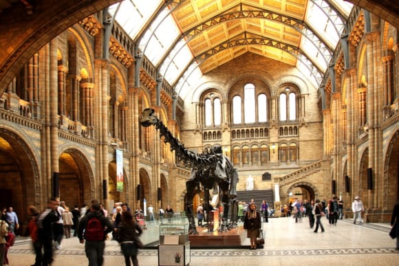 London Museum Explorer Corporate Event Ideas