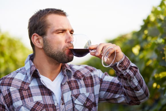 Vineyard Tour & Wine Tasting - 5 Wines Stag Do Ideas