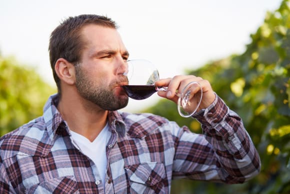 Newcastle Vineyard Tour & Wine Tasting - 5 Wines Stag Do Ideas