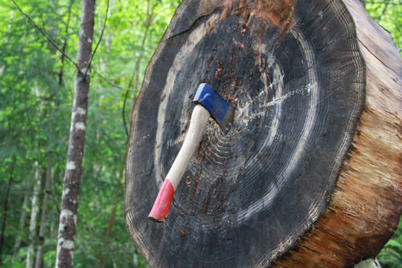 Leeds Axe Throwing Activity Weekend Ideas