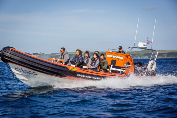 Newquay Coastal Harbour Tour Hen Do Ideas