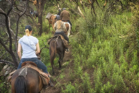 Horse Riding Stag Do Ideas