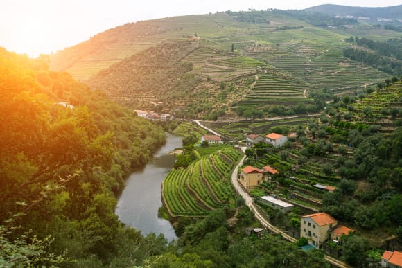 Portugal Douro Valley Tour Corporate Event Ideas
