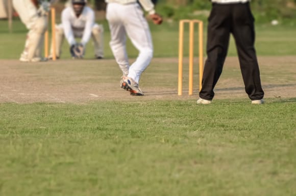 Cricket Activity Weekend Ideas