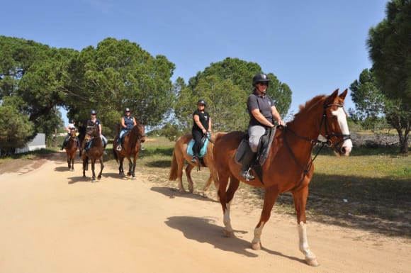 Albufeira Horse Riding Trek Hen Do Ideas