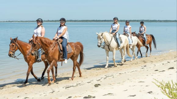 Beach Horseback Riding Activity Weekend Ideas