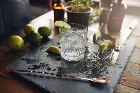 Budapest Gin Tasting Corporate Event Ideas