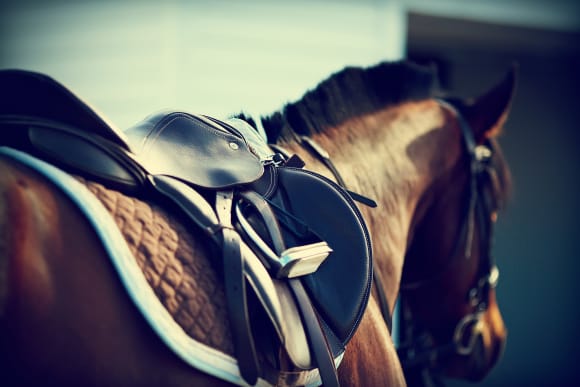 Horse Riding Activity Weekend Ideas