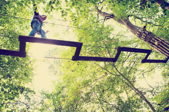 High Ropes Stag Do Ideas