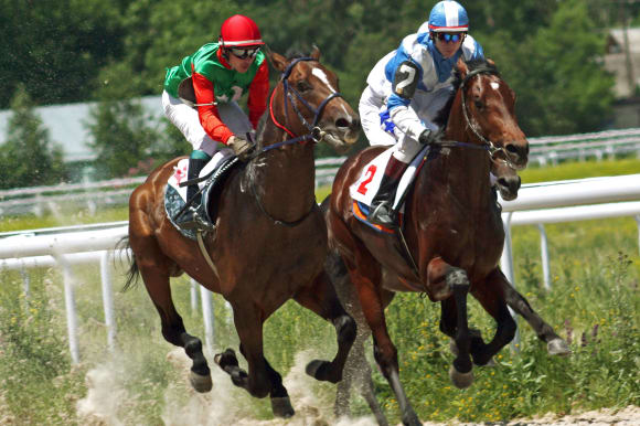 Amsterdam Horse Racing Tickets Stag Do Ideas