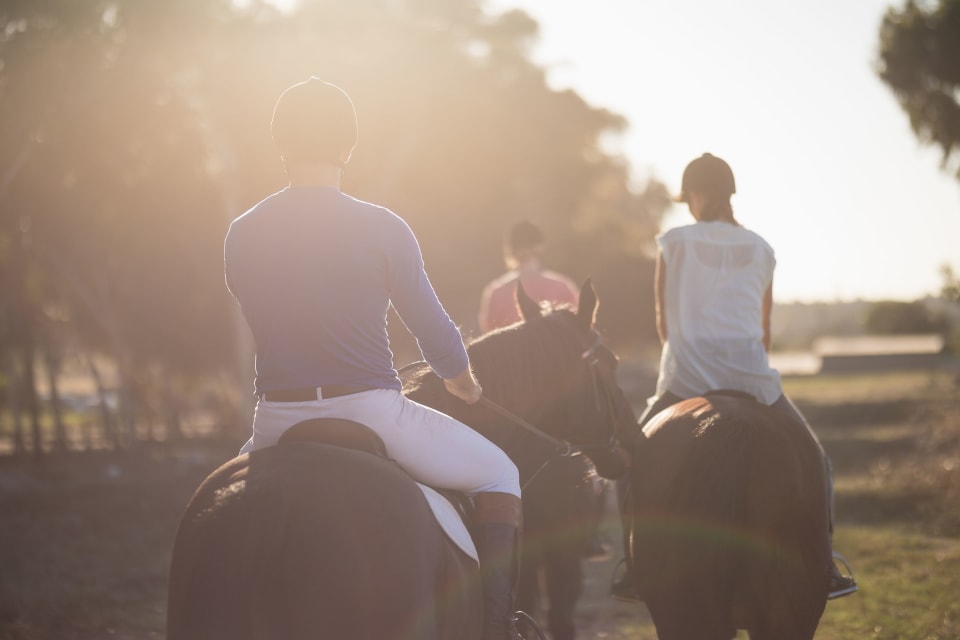 Horse Riding & Transfers — Stag Do activity in Mykonos