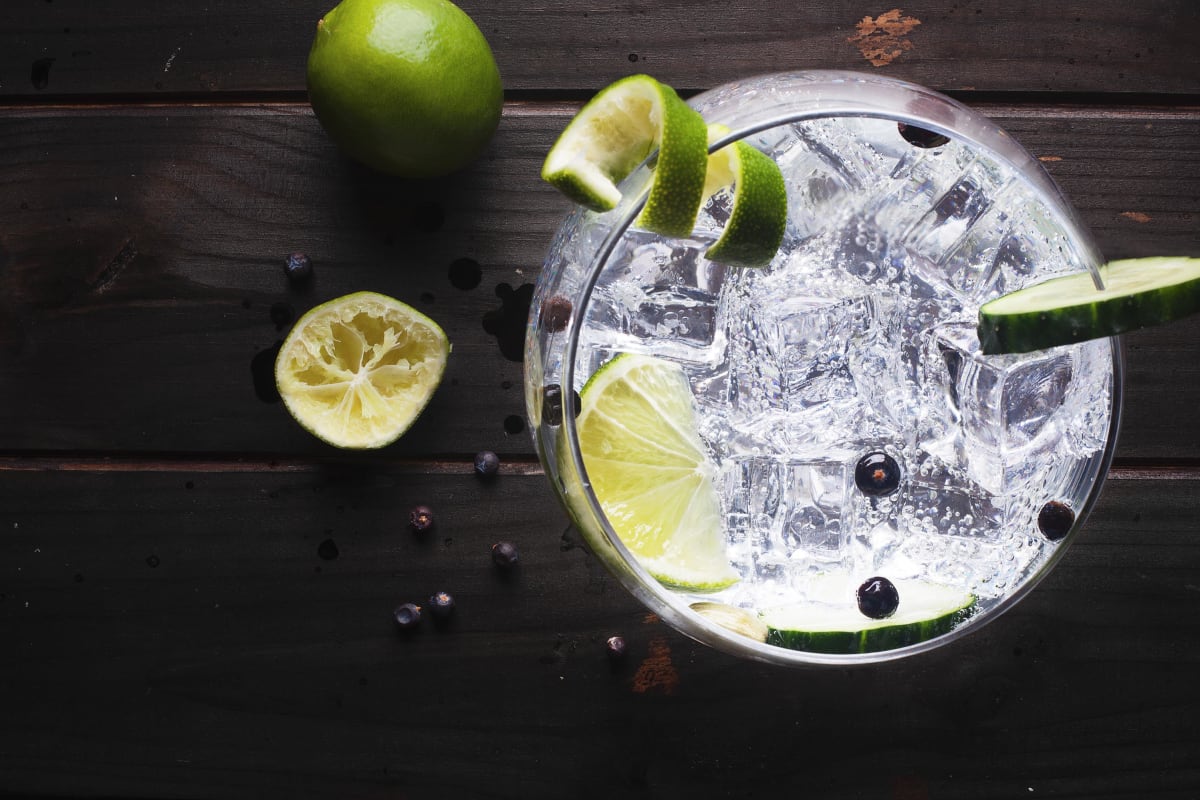 Gin and Tonic Drinks