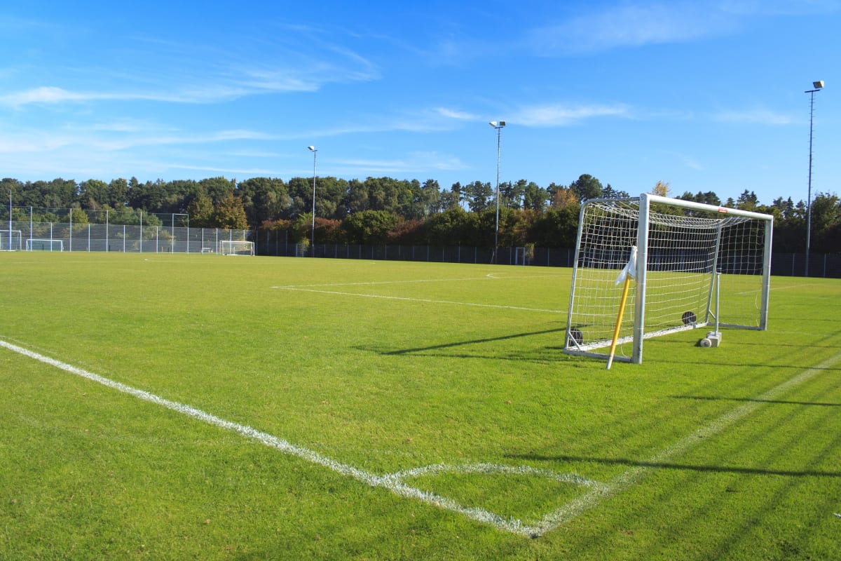 soccer field