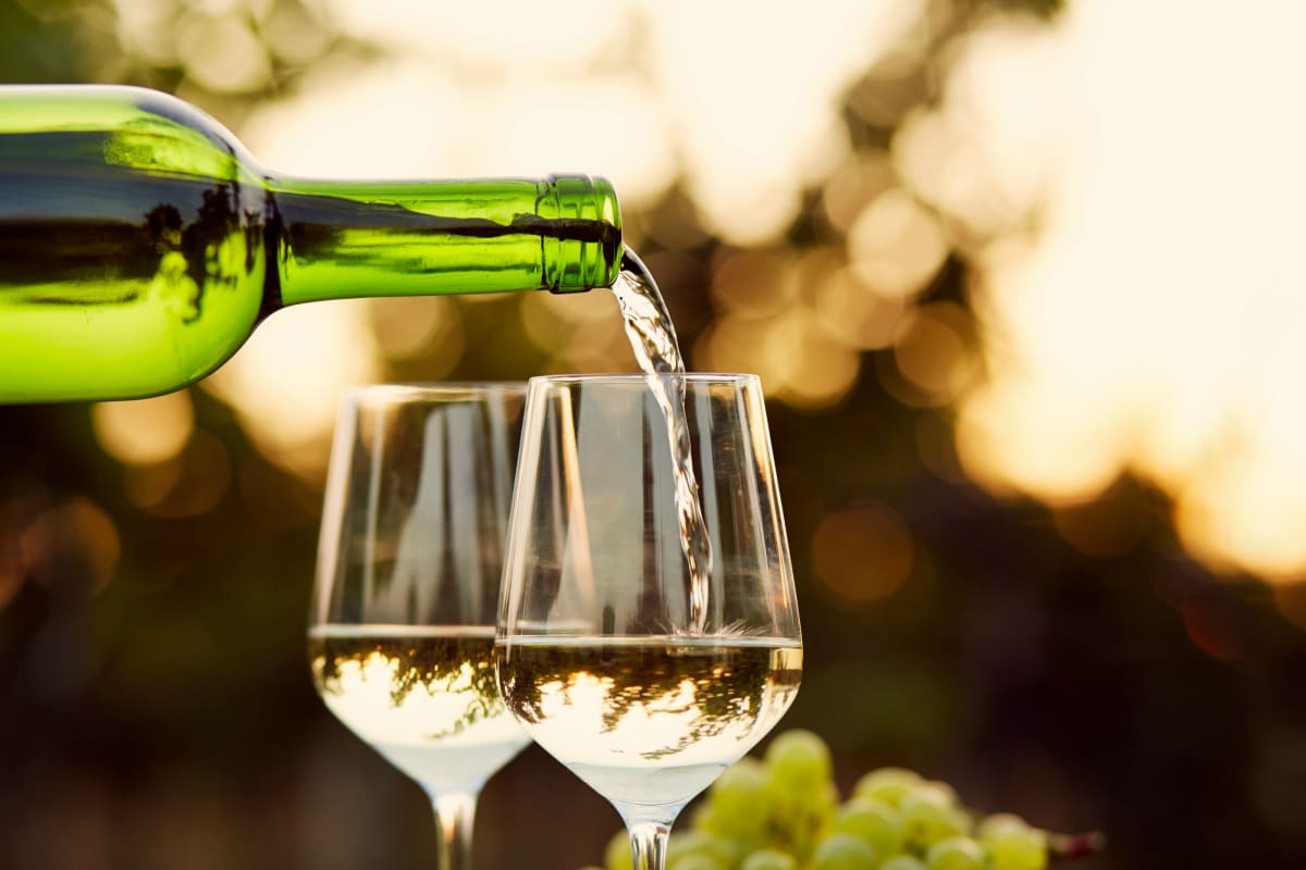 Wine Tasting in Vineyard
