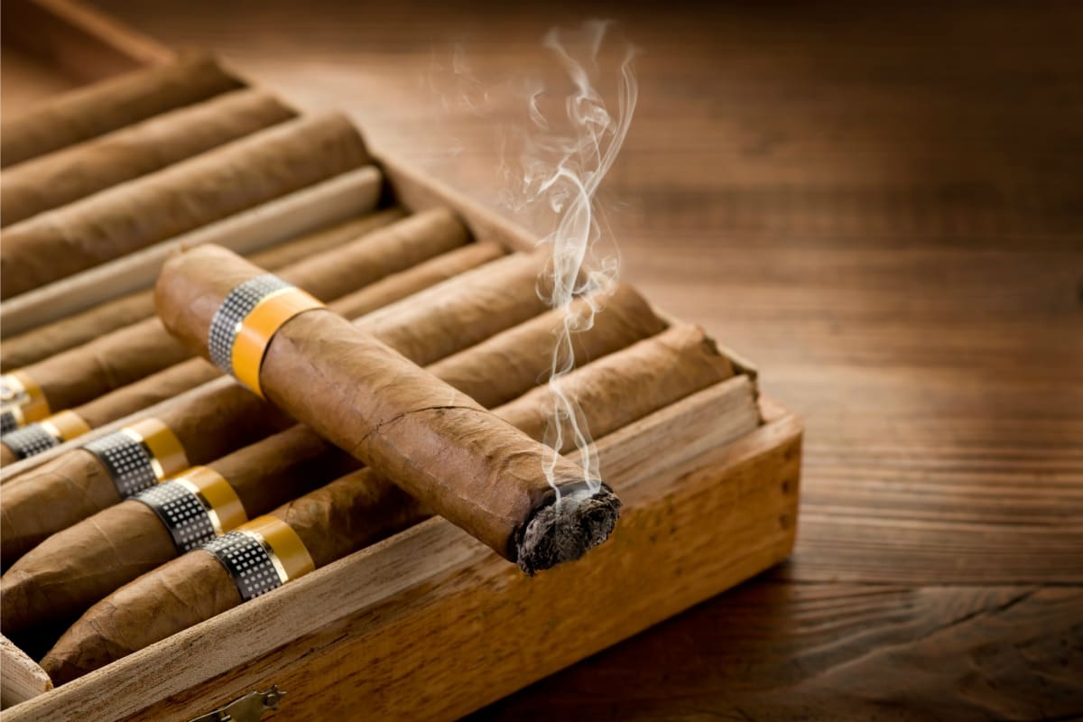 Cigar tasting