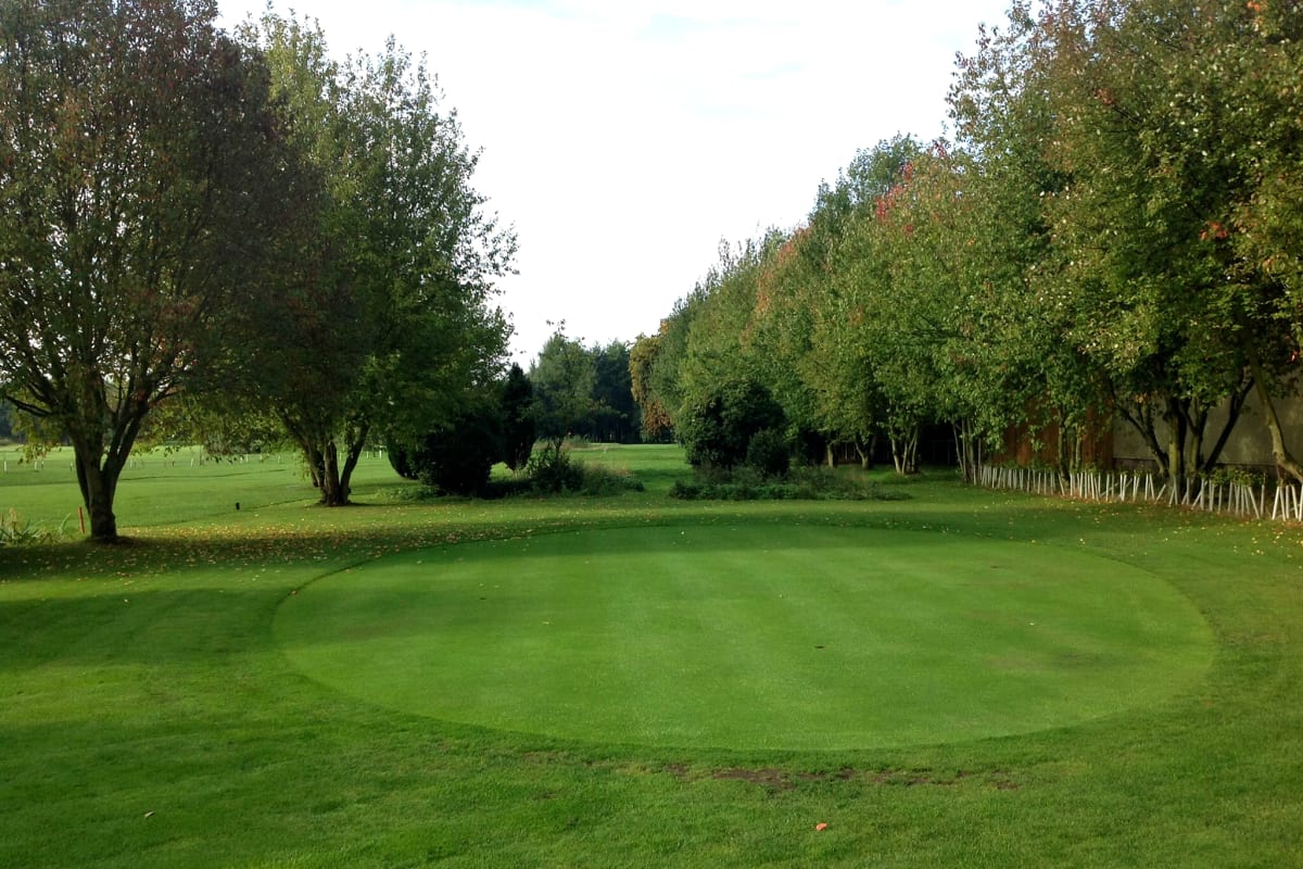 Skelton Golf Park - Green.jpg