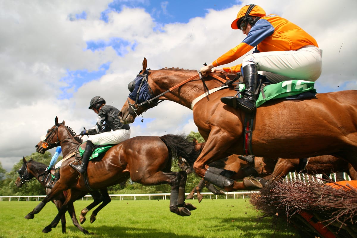 horse jump over a jump at a racecourse