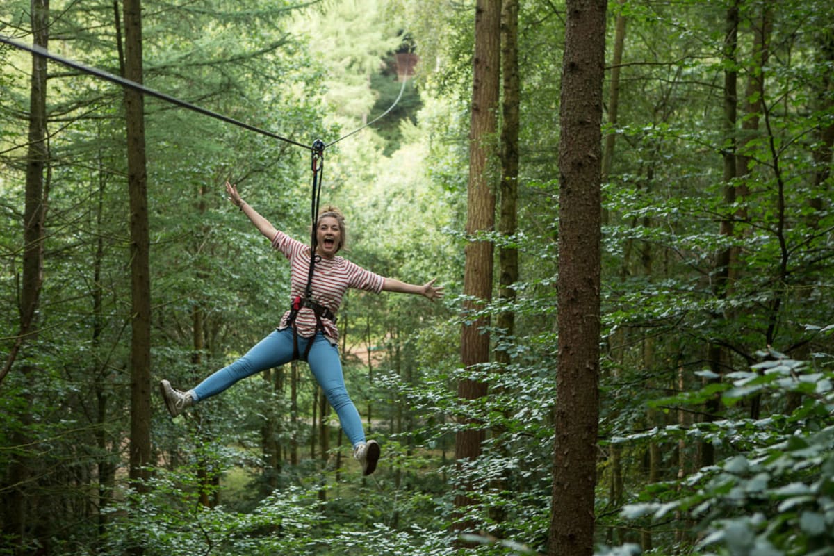 Go Ape Forest of Dean - High Ropes Challenge.jpg