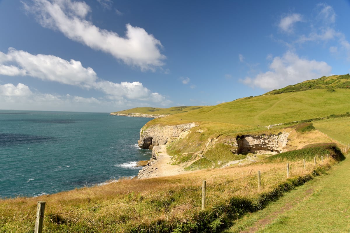 Dancing Ledge coastline/cliffs