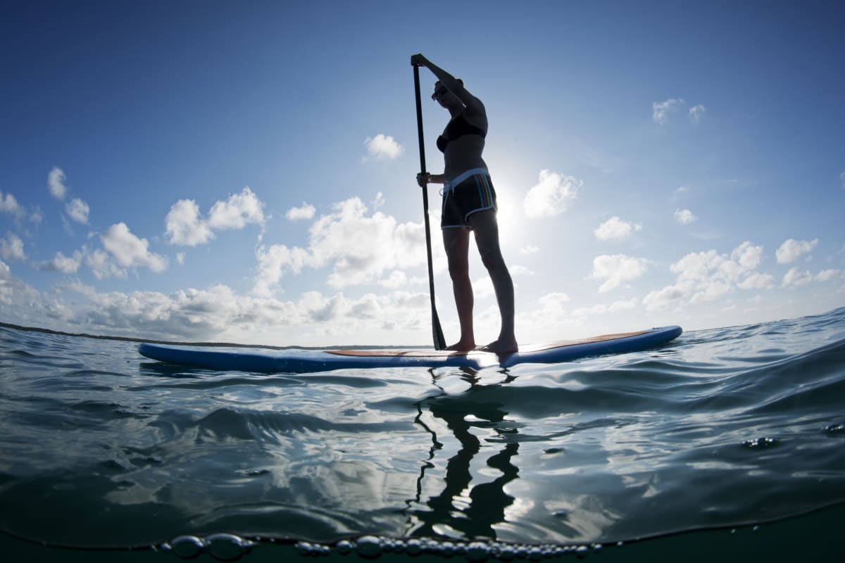 woman paddle boarding on the ocean