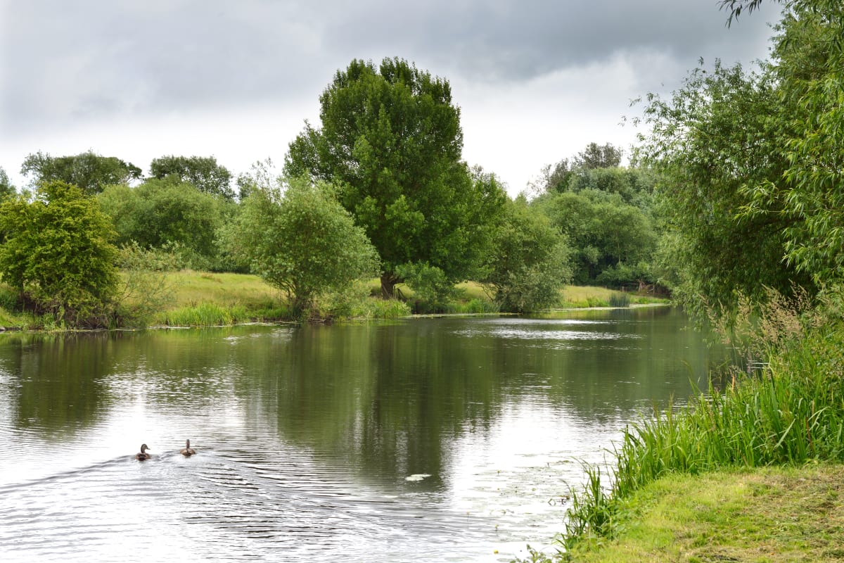 River Soar