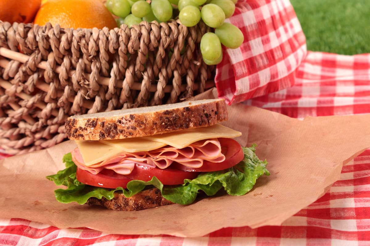 tasty looking picnic sandwich in picnic