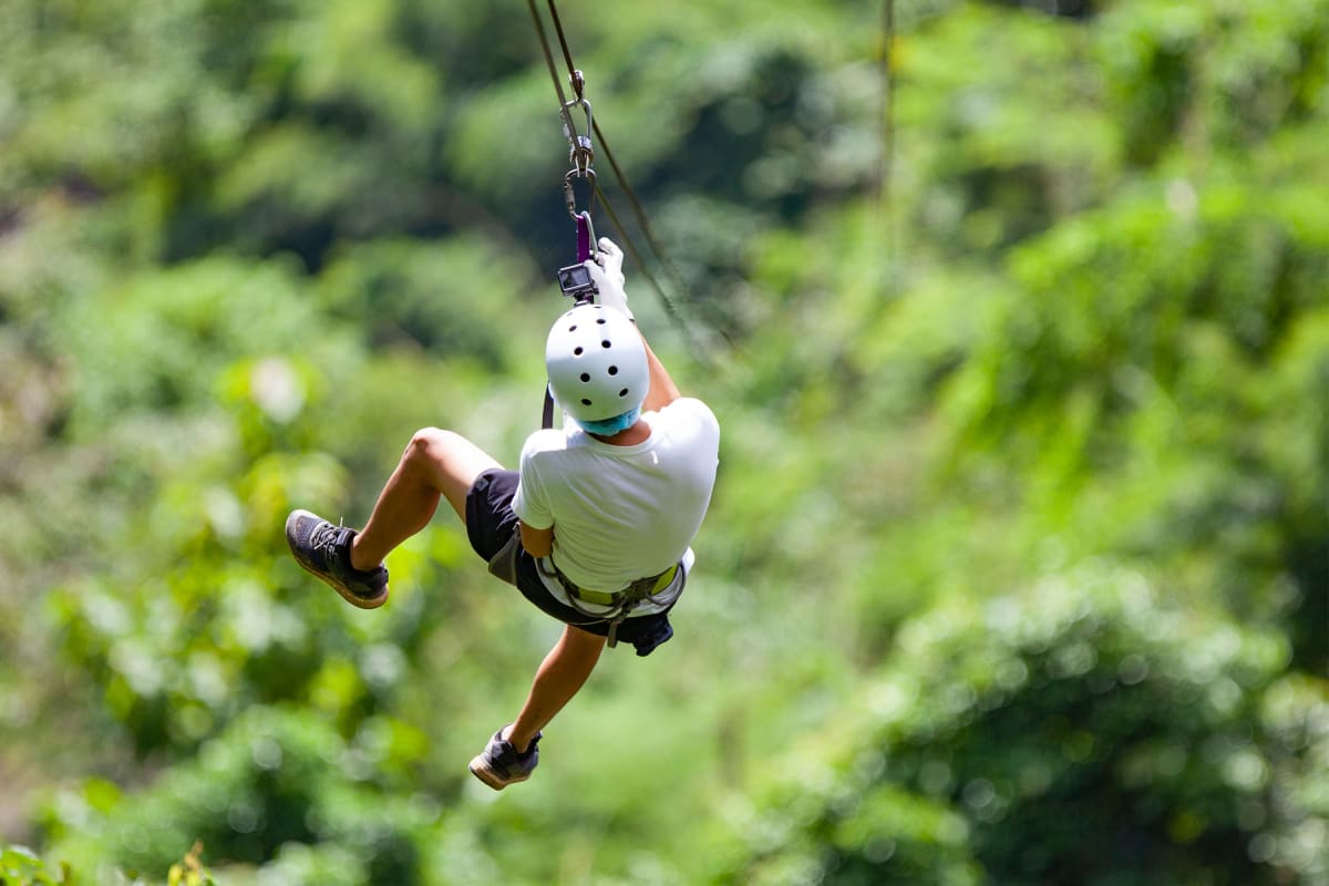 Zip wire zip line stag