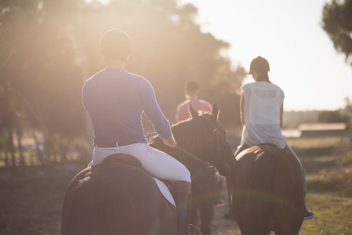 Horse Riding