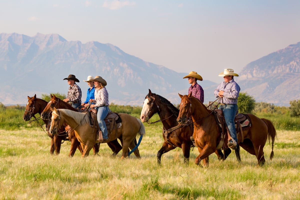 american horse back riding trek