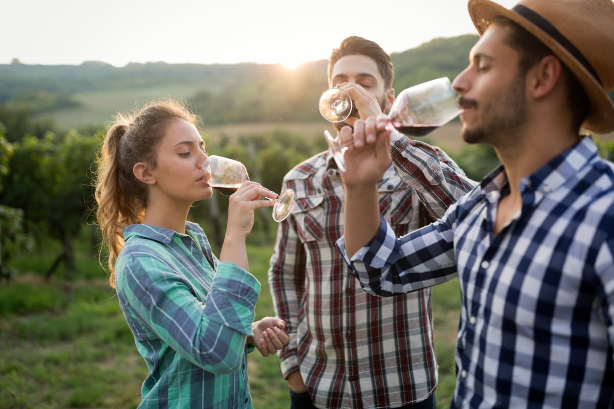 friends tasting wine in vineyard