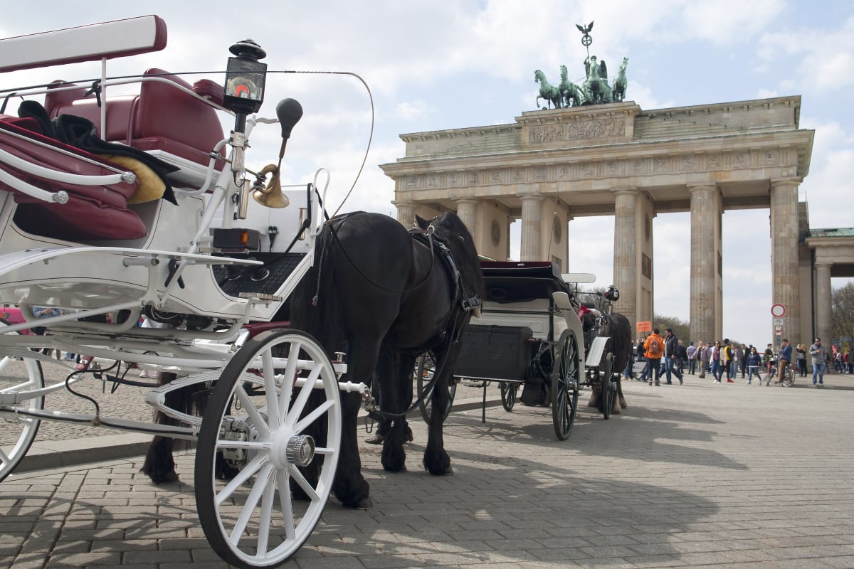 Horse & Carriage City Tour berlin