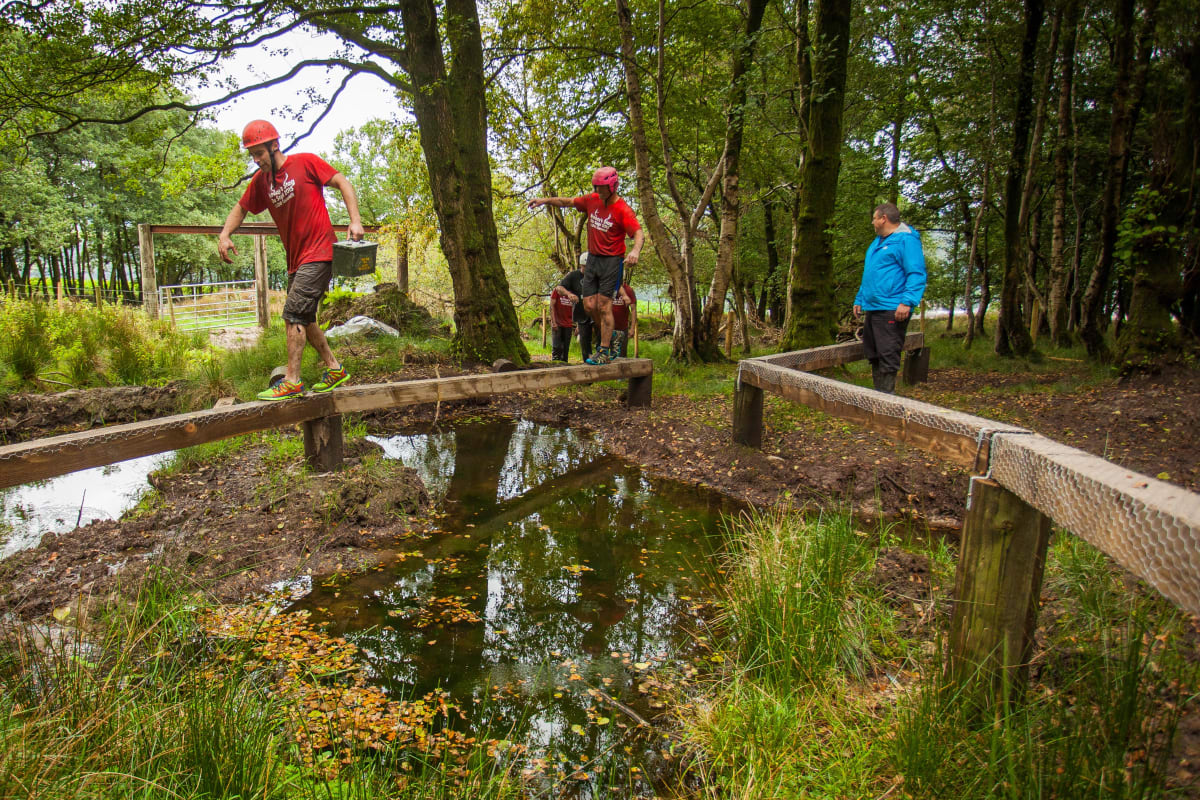 Woodland Assault Course