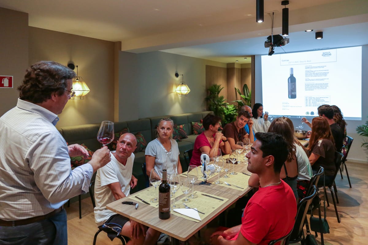 MTS Globe - WINE TASTING PORTO