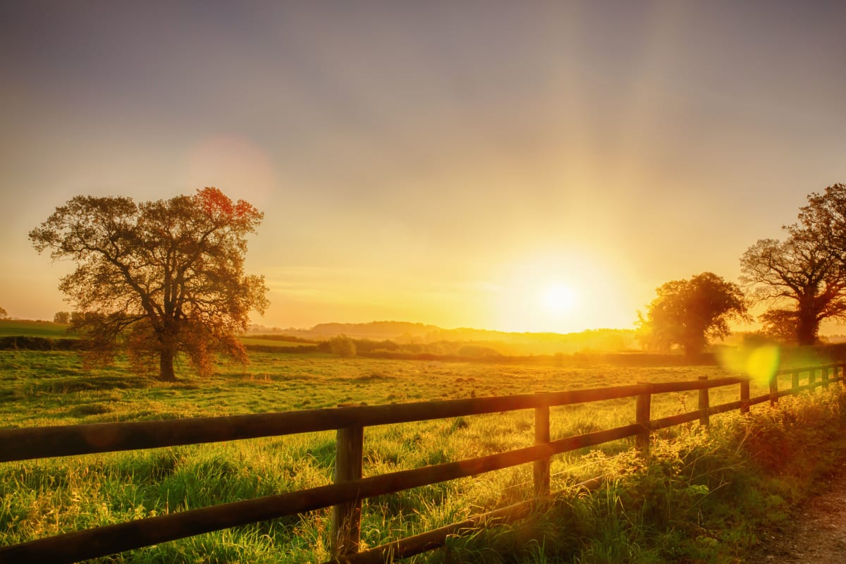 Uk farm stock