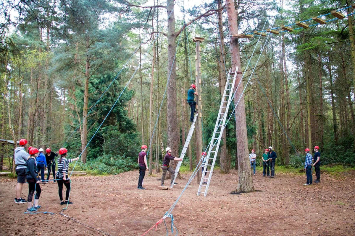 New Forest Activities - High ropes Course.jpg
