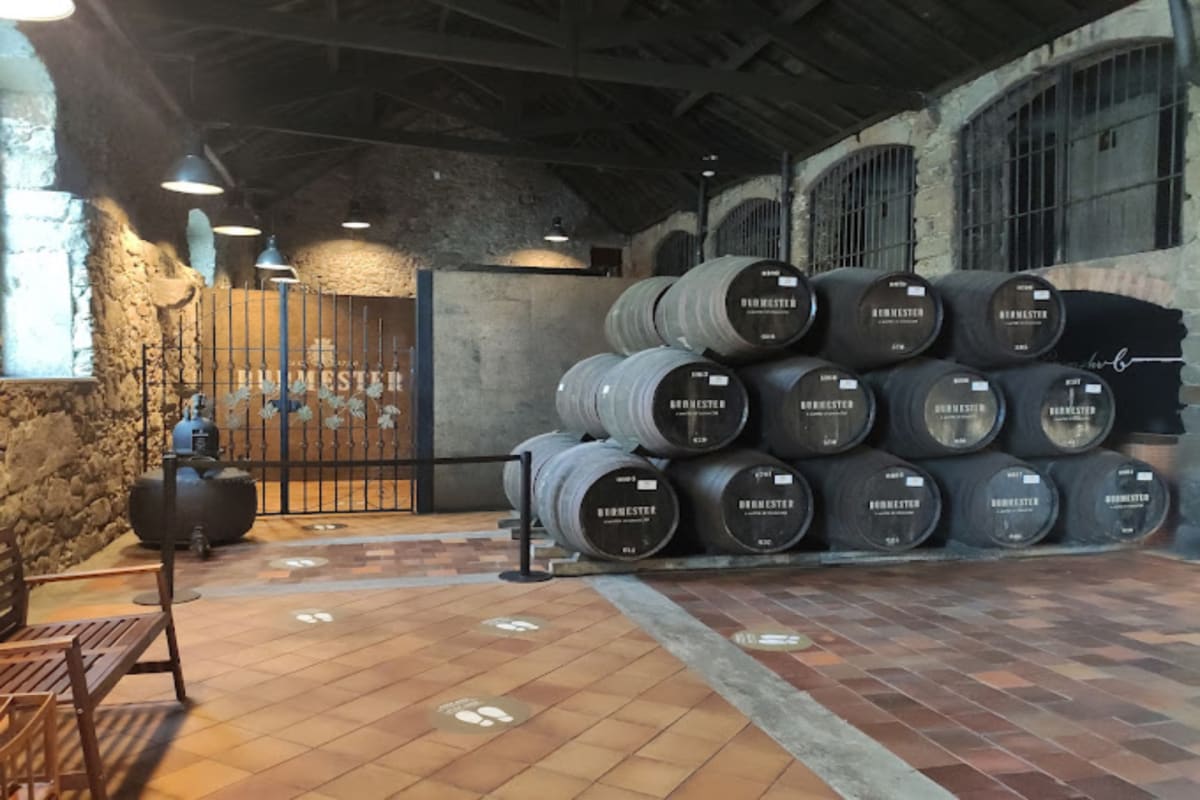 Caves Burmester - Barrells