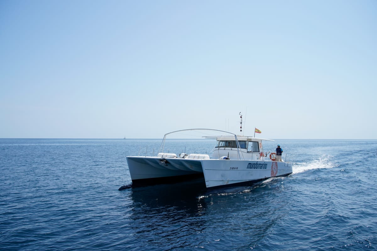 Private Catamaran Hire