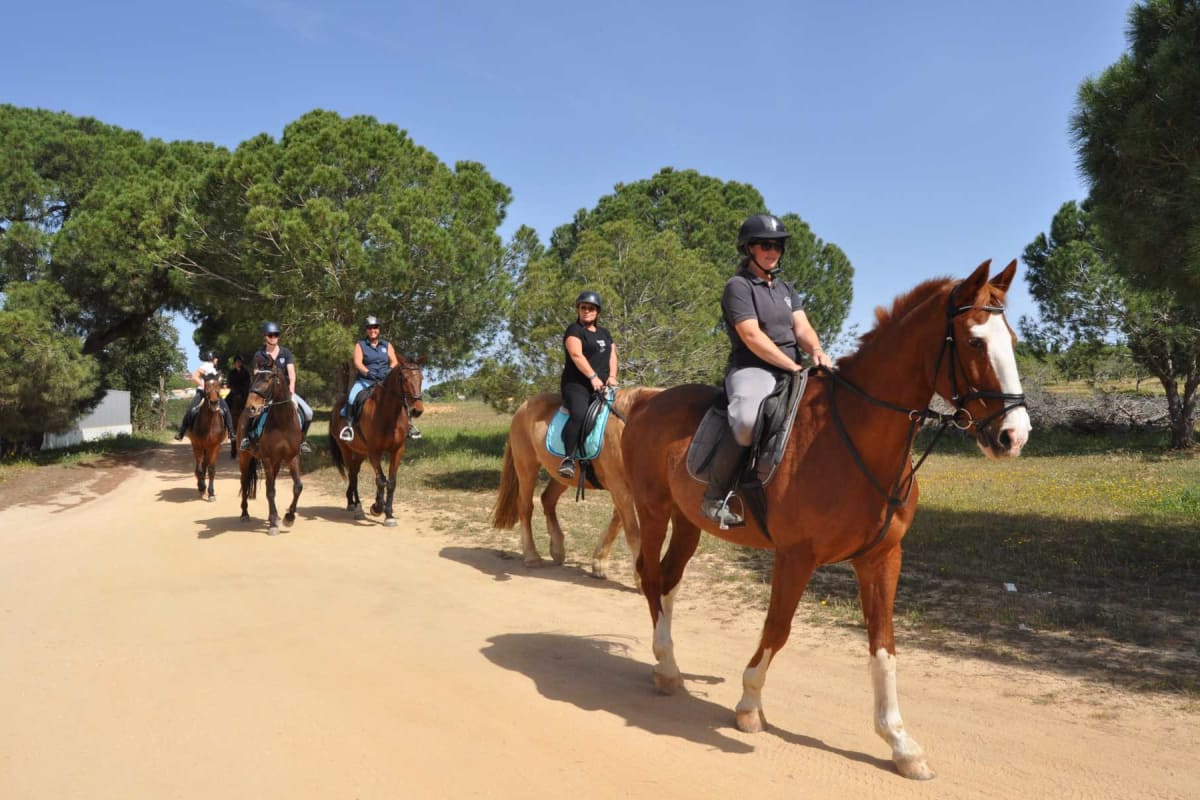 Horse Riding 2