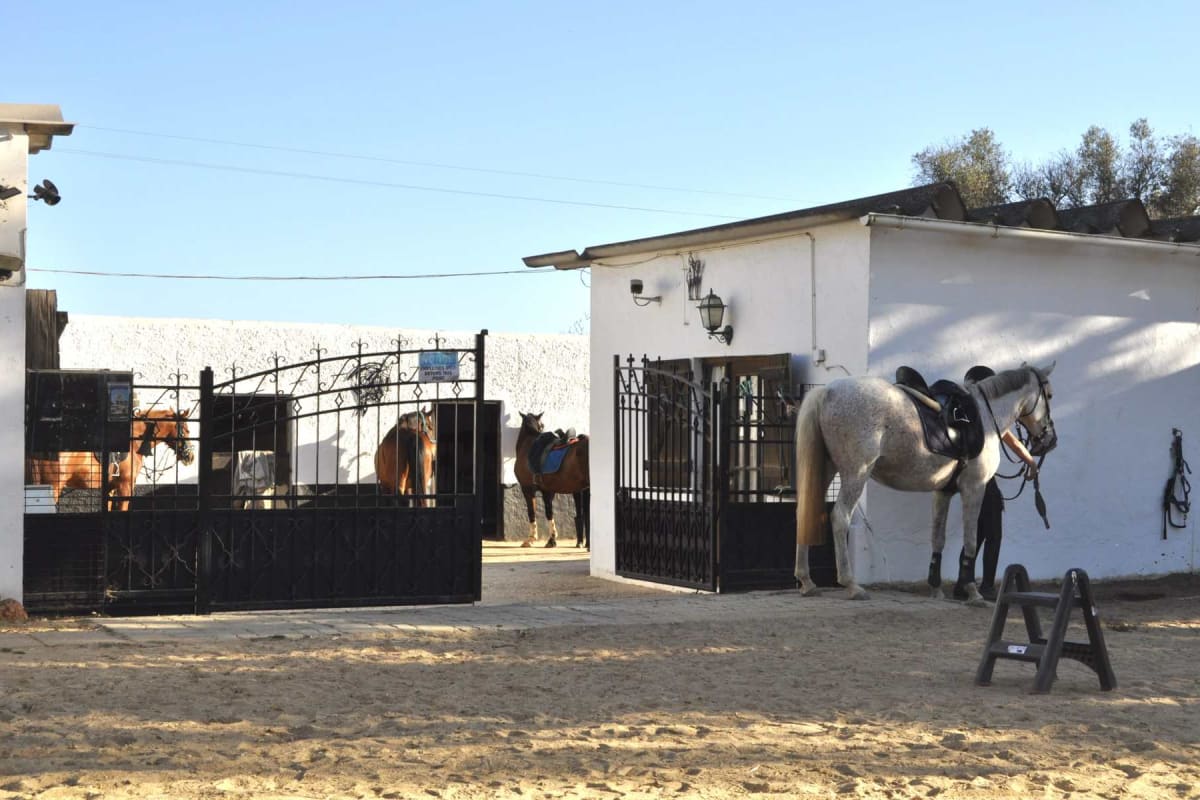 Riding School
