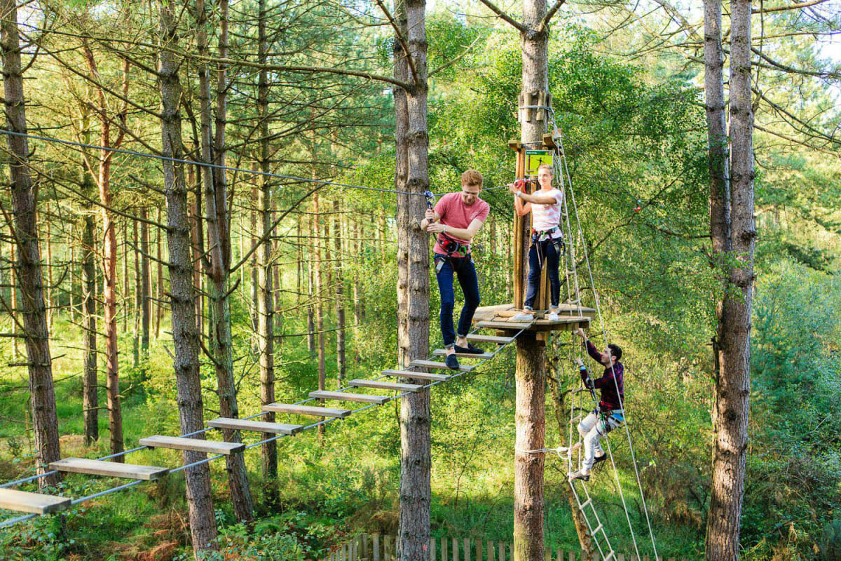 Delamere Forest - Liverpool 3