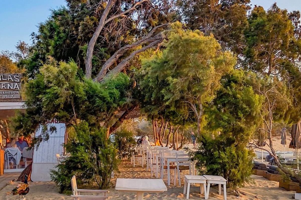 Nikolas Taverna
