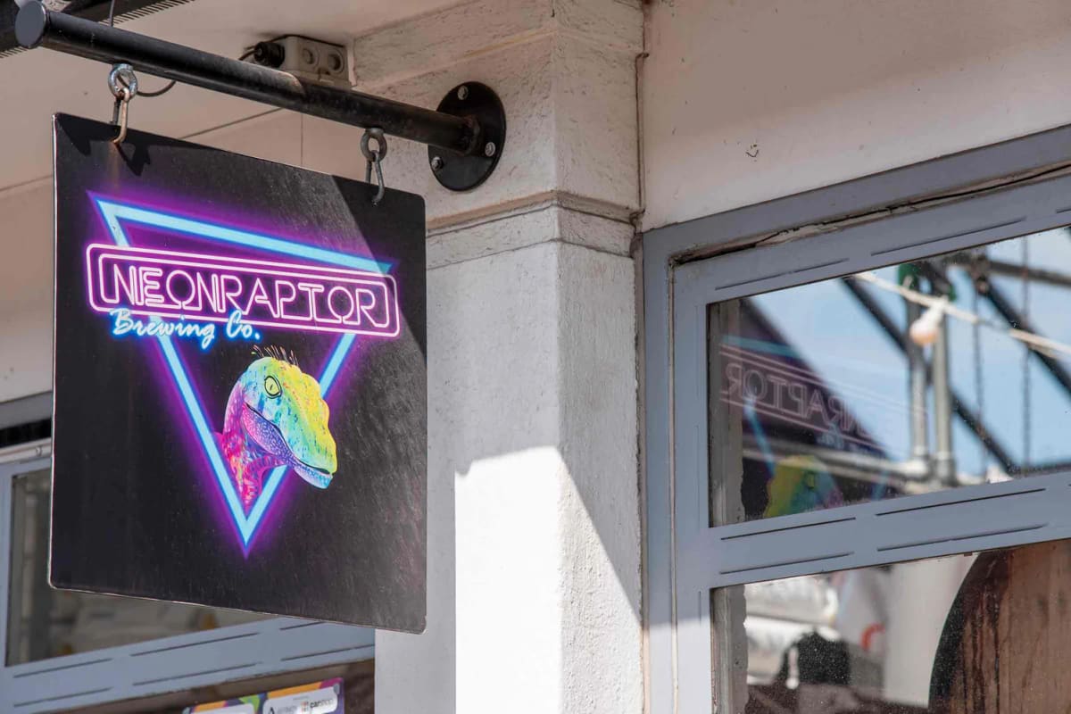 Neon Raptor