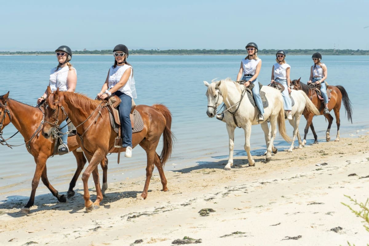 Horse Riding