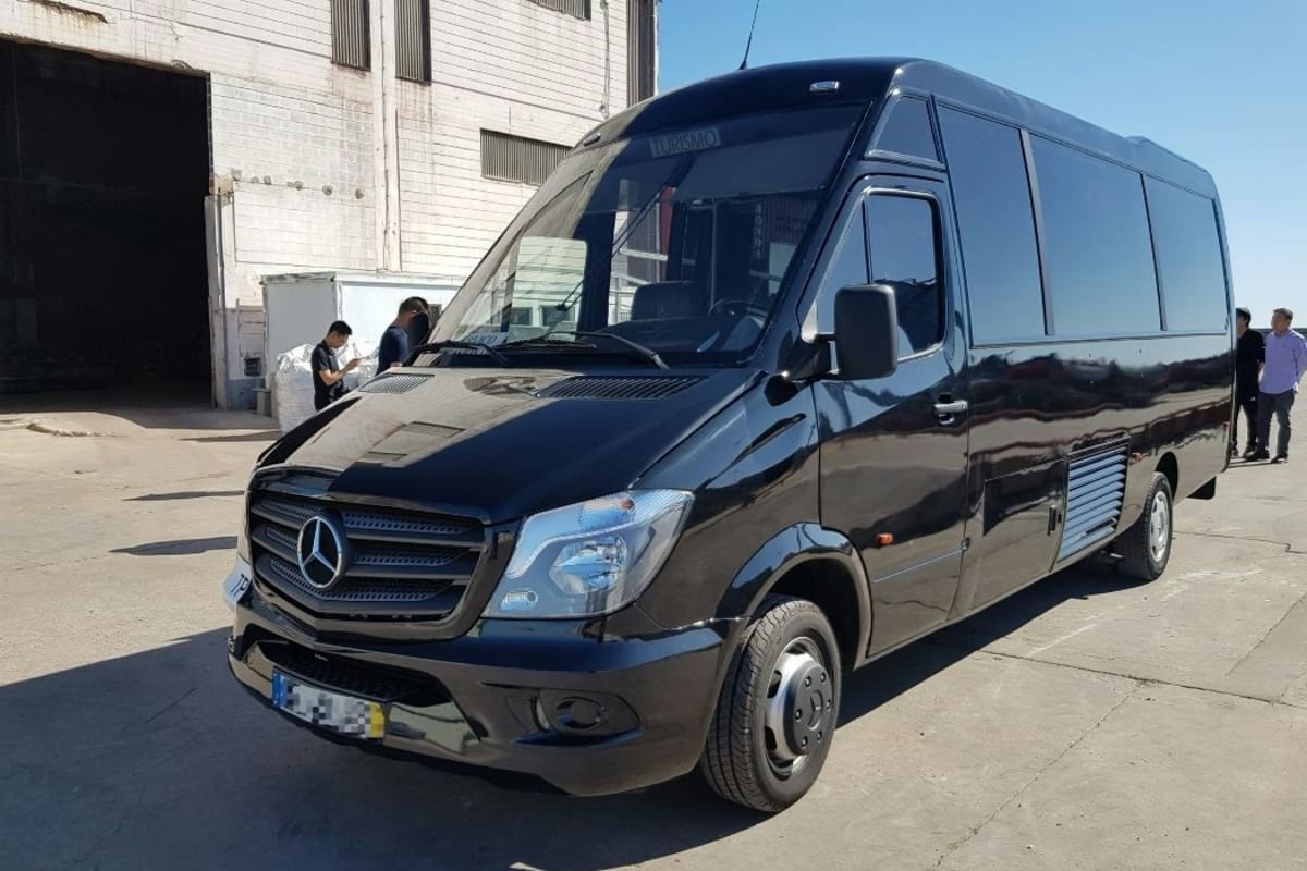 Mini Party Bus